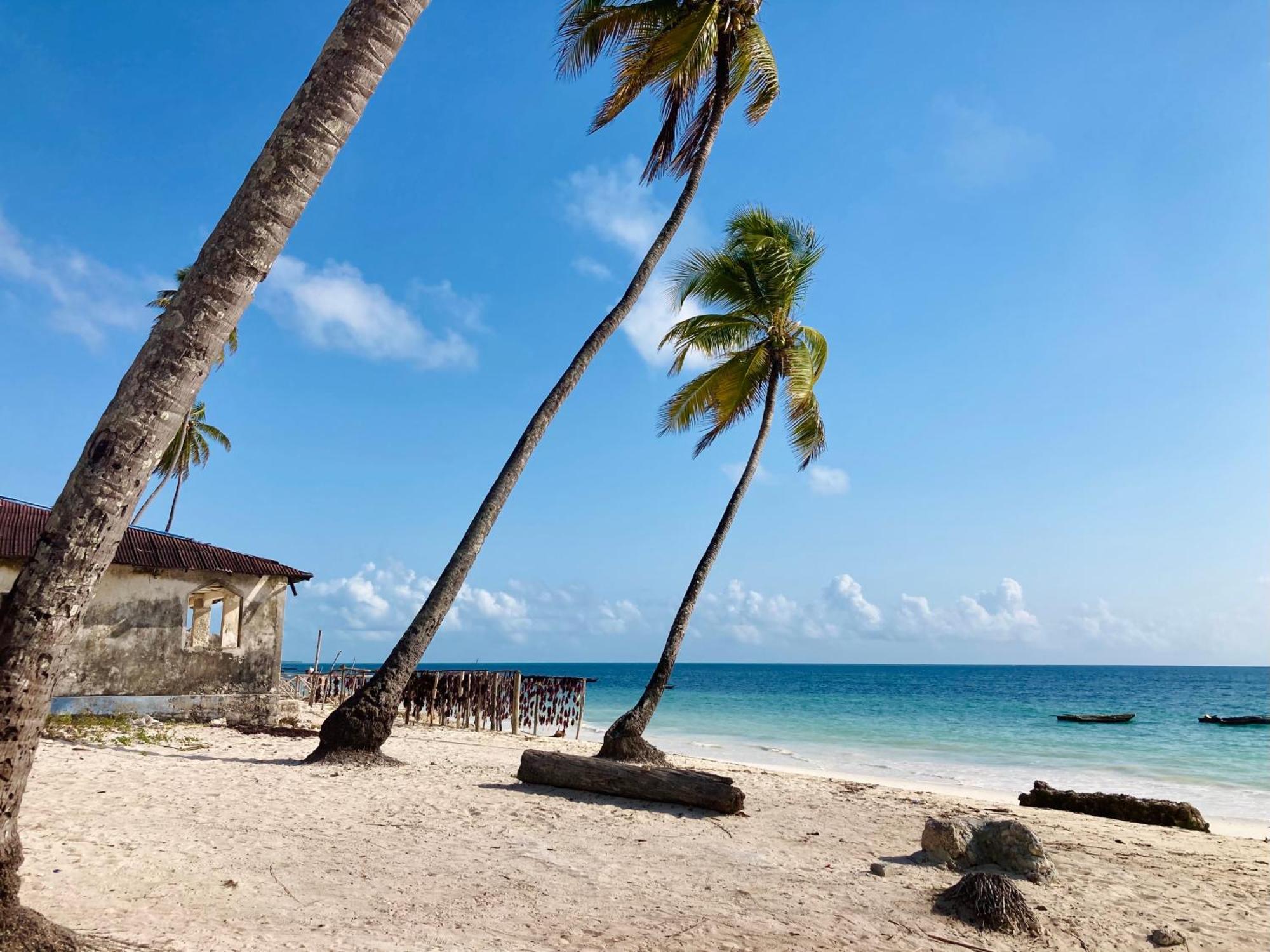 Mango Beach House Jambiani  Ngoại thất bức ảnh