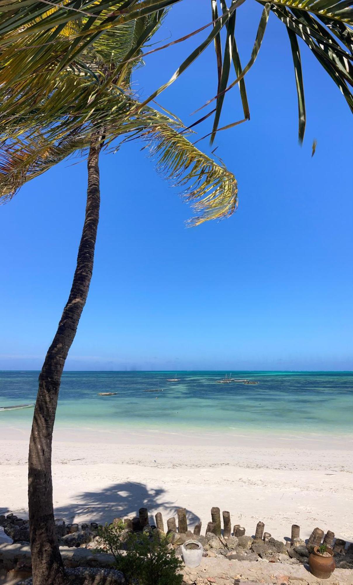 Mango Beach House Jambiani  Ngoại thất bức ảnh