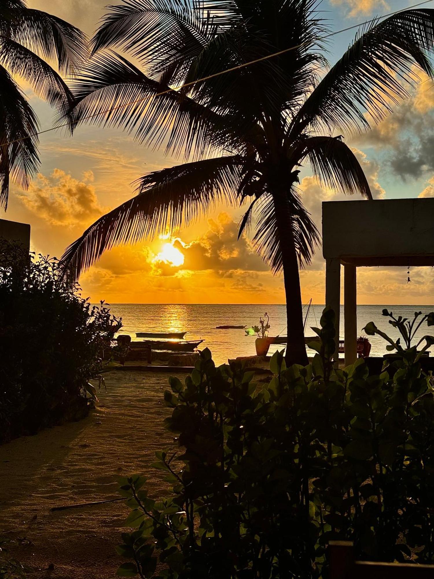 Mango Beach House Jambiani  Ngoại thất bức ảnh